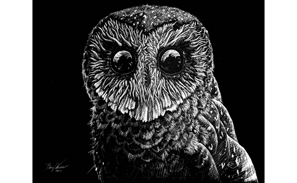 Barry Chesser - Artist